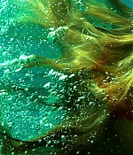 theshallows-blakelively-01366.jpg