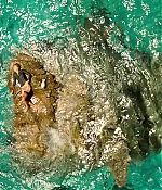 theshallows-blakelively-01725.jpg