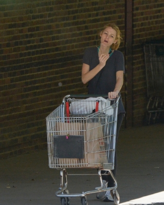 blake-lively-comfortable-grocery-shopping-dogs-01.jpg