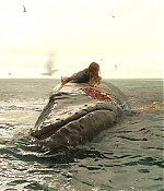 theshallows-blakelively-01560.jpg